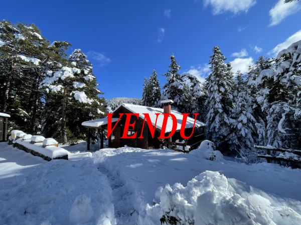 Offres de vente Villas et Propri&eacute;t&eacute;s Caille 06750