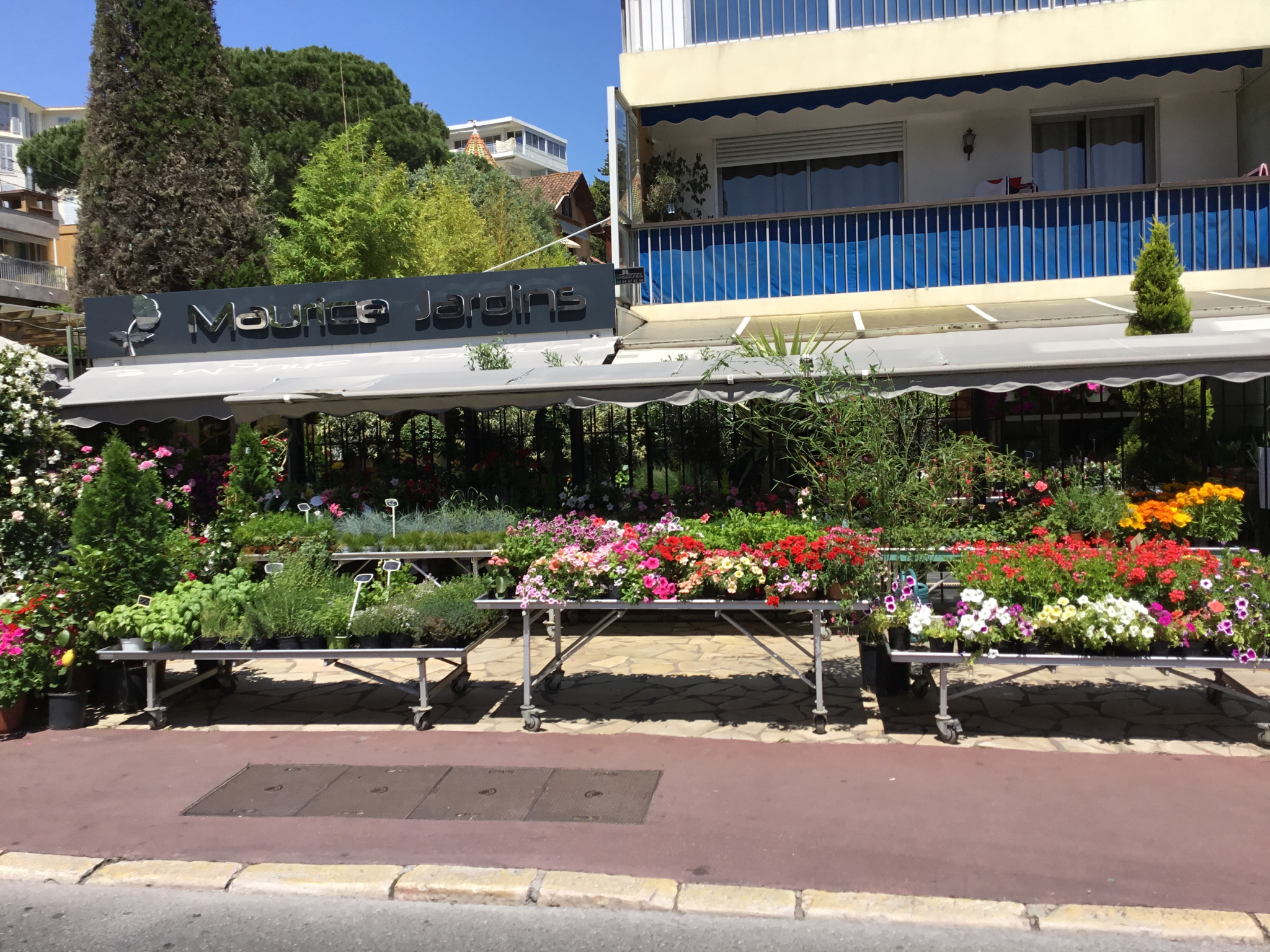 Agence immobilière de Cap Conseil Plaisance